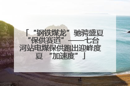 “钢铁煤龙”驰骋盛夏 “保供赛道”——七台河站电煤保供跑出迎峰度夏 “加速度”