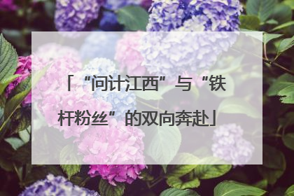 “问计江西”与“铁杆粉丝”的双向奔赴