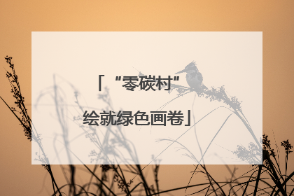 “零碳村” 绘就绿色画卷