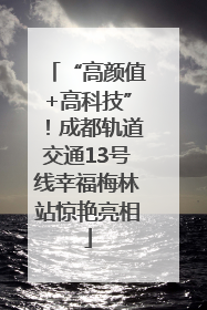 “高颜值+高科技”！成都轨道交通13号线幸福梅林站惊艳亮相