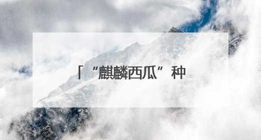 “麒麟西瓜”种出“甜蜜”未来