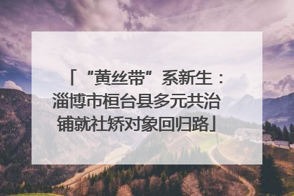 “黄丝带”系新生：淄博市桓台县多元共治铺就社矫对象回归路