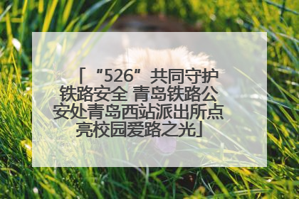 “526”共同守护铁路安全 青岛铁路公安处青岛西站派出所点亮校园爱路之光
