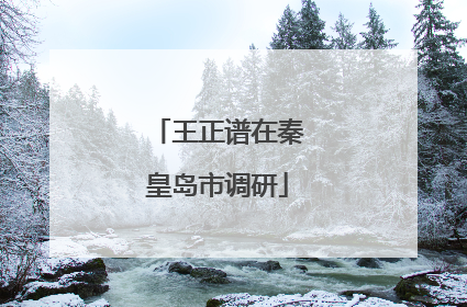 王正谱在秦皇岛市调研