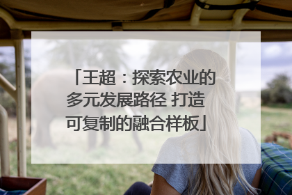 王超：探索农业的多元发展路径 打造可复制的融合样板