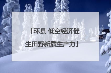 环县 低空经济催生田野新质生产力