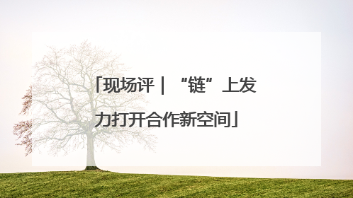 现场评｜“链”上发力打开合作新空间