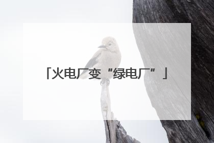 火电厂变“绿电厂”