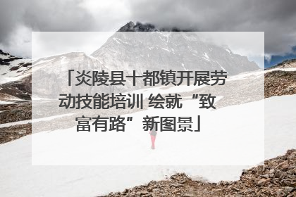 炎陵县十都镇开展劳动技能培训 绘就“致富有路”新图景
