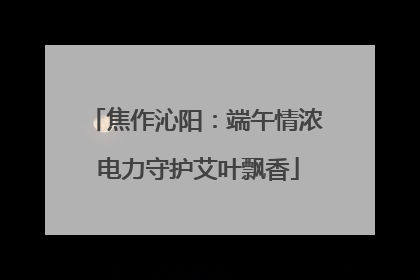焦作沁阳：端午情浓 电力守护艾叶飘香