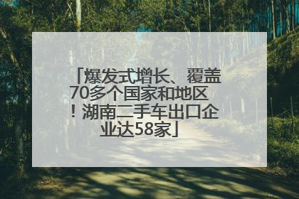 爆发式增长、覆盖70多个国家和地区！湖南二手车出口企业达58家