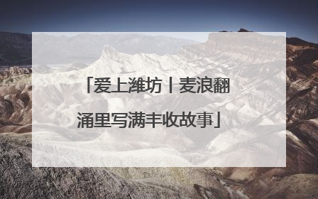 爱上潍坊丨麦浪翻涌里写满丰收故事