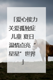 爱心接力关爱孤独症儿童 夏日温情点亮“星星”世界