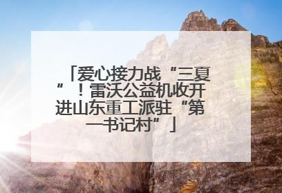 爱心接力战“三夏”！雷沃公益机收开进山东重工派驻“第一书记村”