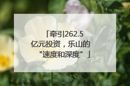 牵引262.5亿元投资，乐山的“速度和深度”