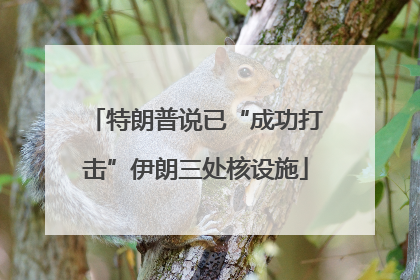 特朗普说已“成功打击”伊朗三处核设施