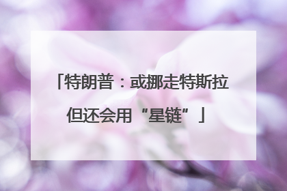 特朗普：或挪走特斯拉 但还会用“星链”