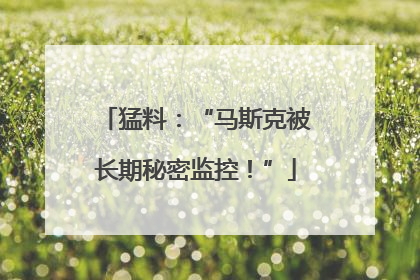 猛料：“马斯克被长期秘密监控！”