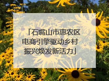 石嘴山市惠农区电商引擎驱动乡村振兴焕发新活力