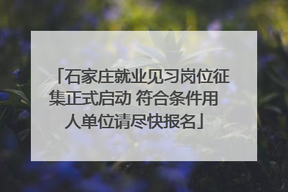 石家庄就业见习岗位征集正式启动 符合条件用人单位请尽快报名