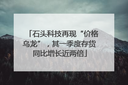 石头科技再现“价格乌龙”，其一季度存货同比增长近两倍