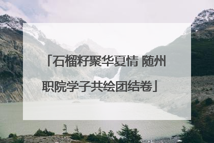石榴籽聚华夏情 随州职院学子共绘团结卷
