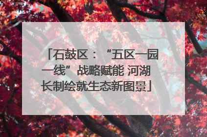 石鼓区：“五区一园一线”战略赋能 河湖长制绘就生态新图景