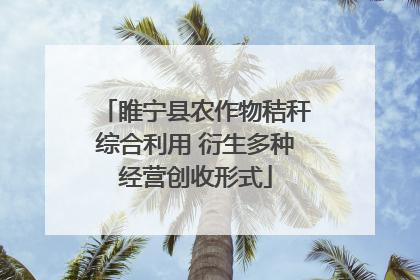 睢宁县农作物秸秆综合利用 衍生多种经营创收形式