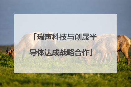 瑞声科技与创晟半导体达成战略合作