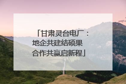 甘肃灵台电厂：地企共建结硕果 合作共赢启新程