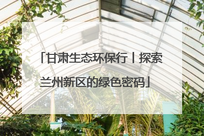 甘肃生态环保行丨探索兰州新区的绿色密码