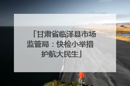 甘肃省临泽县市场监管局：快检小举措 护航大民生