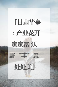 甘肃华亭：产业花开家家富 沃野“丰”景处处美