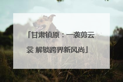 甘肃镇原：一袭剪云裳 解锁跨界新风尚