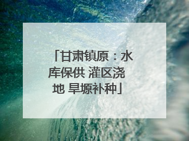 甘肃镇原：水库保供 灌区浇地 旱塬补种
