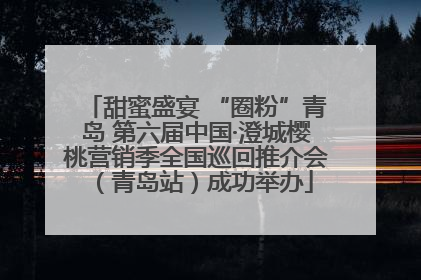 甜蜜盛宴 “圈粉”青岛 第六届中国·澄城樱桃营销季全国巡回推介会（青岛站）成功举办