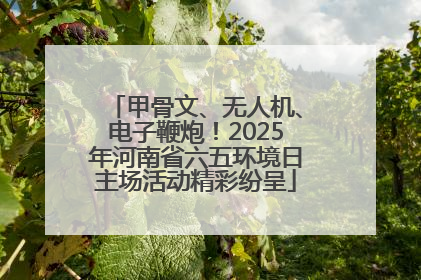 甲骨文、无人机、电子鞭炮！2025年河南省六五环境日主场活动精彩纷呈