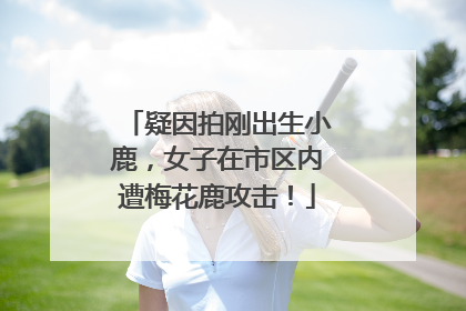 疑因拍刚出生小鹿，女子在市区内遭梅花鹿攻击！