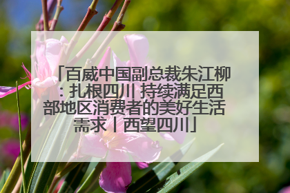 百威中国副总裁朱江柳：扎根四川 持续满足西部地区消费者的美好生活需求丨西望四川