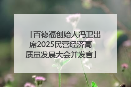 百德福创始人冯卫出席2025民营经济高质量发展大会并发言