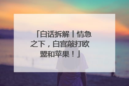 白话拆解丨情急之下，白宫敲打欧盟和苹果！