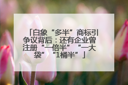 白象“多半”商标引争议背后：还有企业曾注册“一倍半”“一大袋”“1桶半”
