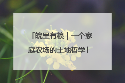 皖里有粮｜一个家庭农场的土地哲学