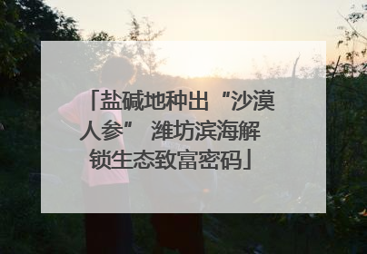 盐碱地种出“沙漠人参” 潍坊滨海解锁生态致富密码