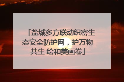 盐城多方联动织密生态安全防护网，护万物共生 绘和美画卷