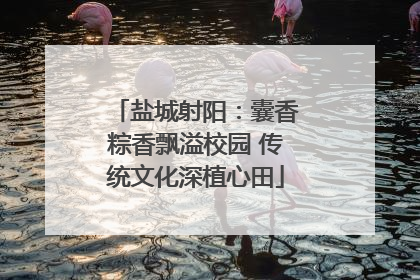 盐城射阳：囊香粽香飘溢校园 传统文化深植心田