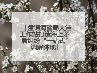 盘锦海警局大洼工作站打造海上矛盾纠纷“一站式”调解阵地