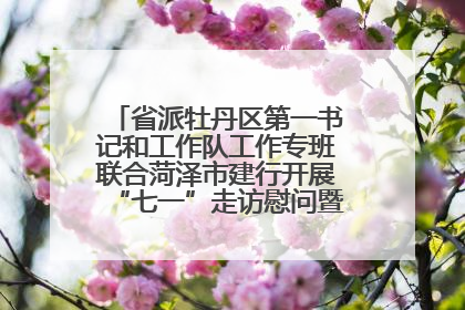 省派牡丹区第一书记和工作队工作专班联合菏泽市建行开展“七一”走访慰问暨红色教育活动