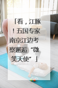 看，江豚！五国专家南京江边考察邂逅“微笑天使”