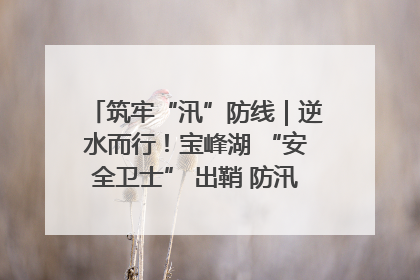 筑牢“汛”防线｜逆水而行！宝峰湖 “安全卫士” 出鞘 防汛应急再添硬核力量